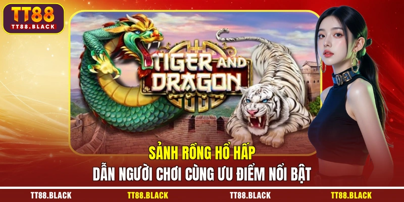 Sảnh Rồng Hổ hấp dẫn người chơi cùng ưu điểm nổi bật